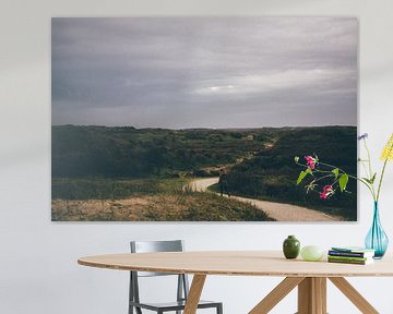 eenzaam in de duinen van Stephan de Haas