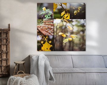 Autumn collage by Sonja Tessen