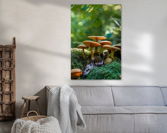 Aperçu de la chambre