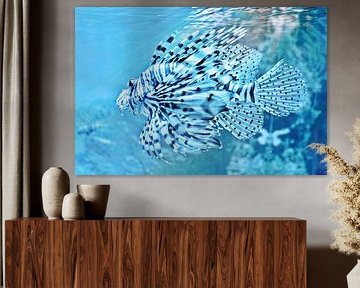 un poisson-lion dans un aquarium mixed media sur Werner Lehmann