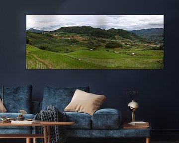 rice fields in vietnam by Jordy Blokland