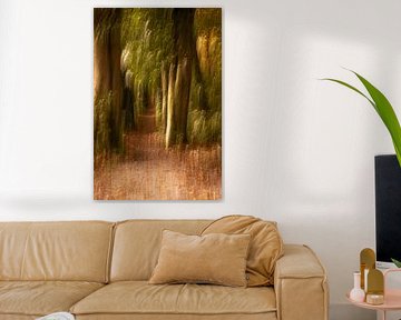 Living forest in golden glow