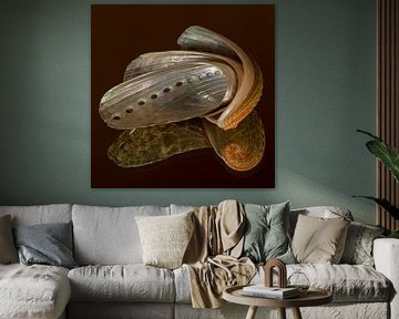 Warme kleuren: Stilleven van drie in elkaar gedraaide schelpen van Marjolijn van den Berg