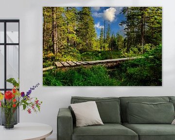Moorland in the Black Forest by Jürgen Wiesler