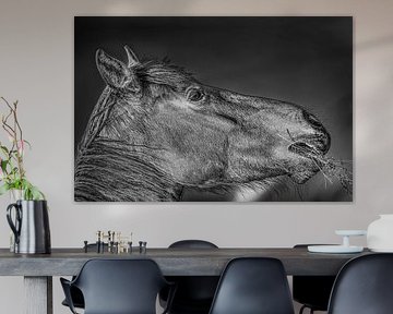 Portrait of a horse with a straw between its teeth by Harrie Muis