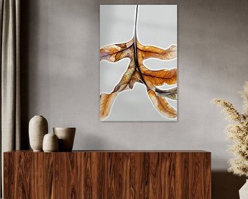 WARM GLOW FERN LEAF 004 - Botanical Photo Print with Fern Leaf Autumn by Saskia Mensink PRINTS