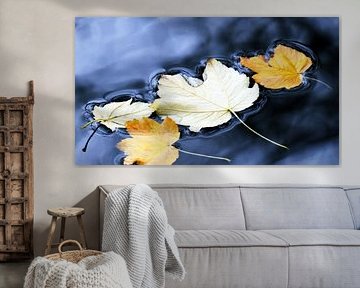 Autumn leaves floating in the river by Werner Lehmann