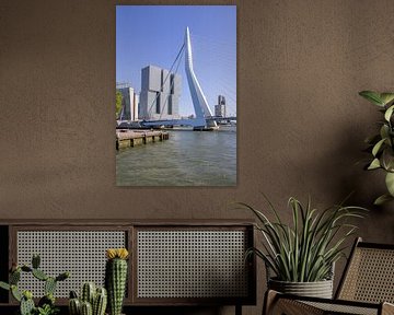 Erasmus Bridge from the water by BTT Fotografie Richard Schretzmeijer