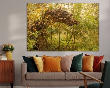 A dragon's head in the forest by Marja van Brunschot