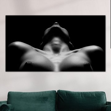 La reddition - Femme nue dans l'ombre et la lumière