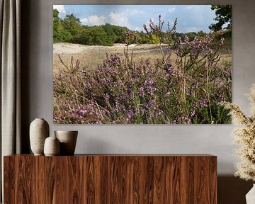 Autumn heather by Lisette van Helden