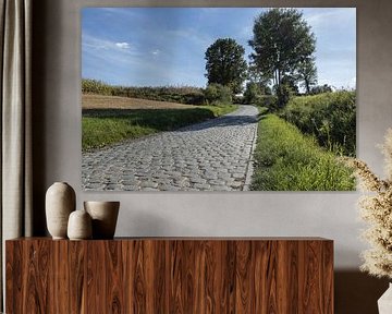 Oude Kwaremont, Flemish Ardennes, Belgium