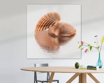 Vierkant stilleven: Twee schelpen in warme kleuren met reflectie van Marjolijn van den Berg