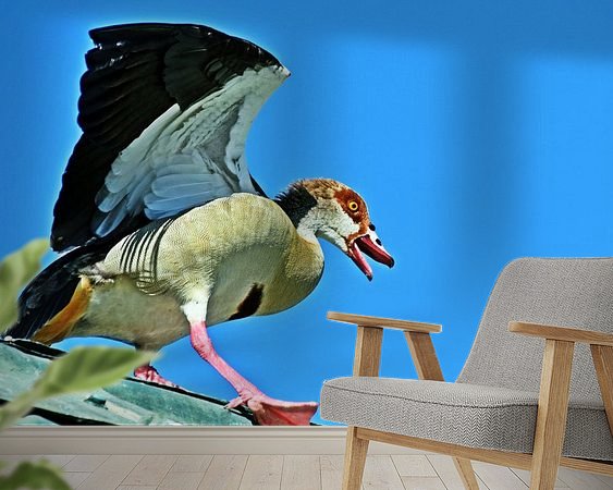 Raumvorschau