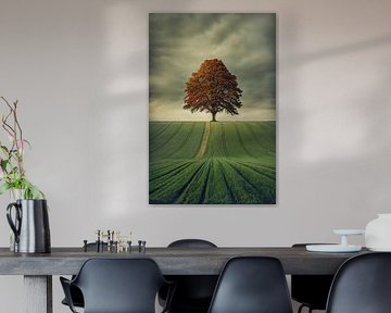 Autumn tree in the Landscape by Arjen Roos