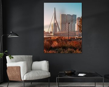 Erasmus Bridge Rotterdam Sunrise by Nuance Beeld
