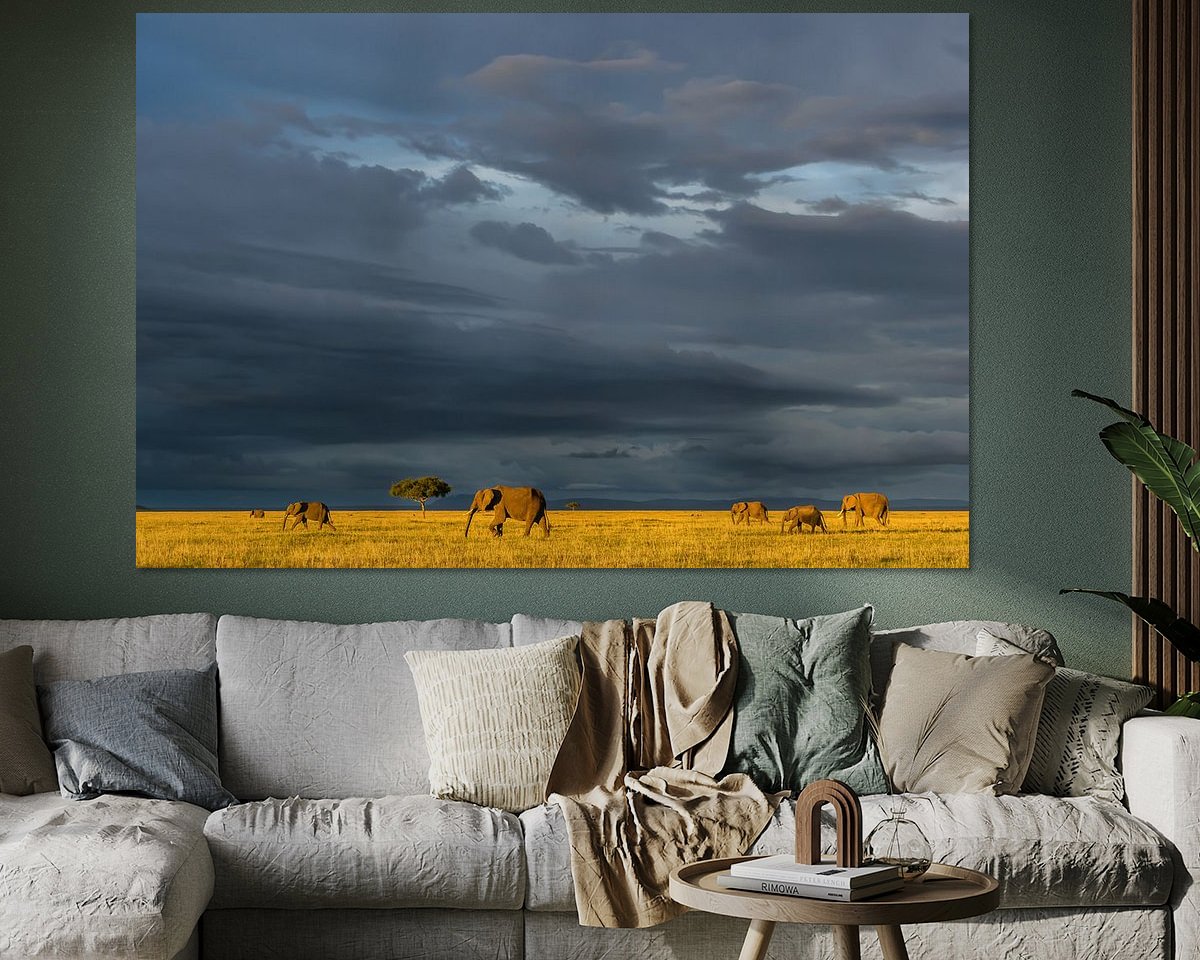 Voorbeeld van het werk in een kamer