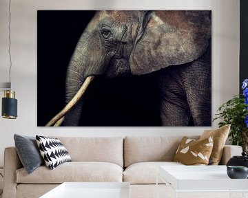 Elefant von Claudia Moeckel