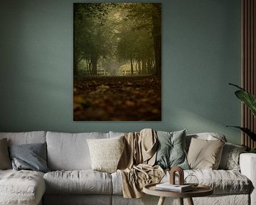 Couleurs d'automne dans la forêt - mystérieux sur Eline Doornbos