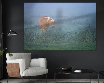 Horse in pasture, shortly after sunrise