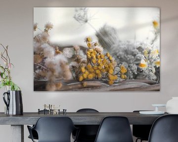 Des fleurs colorées dans un tableau sans couleur