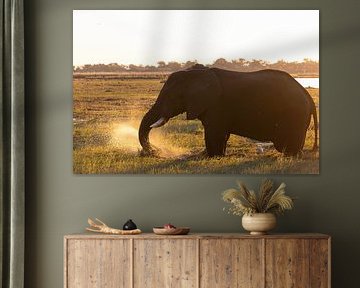 Namibia & Botswana wilde dieren op safari