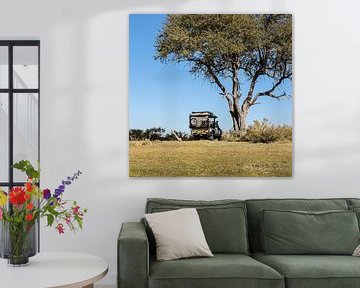 Safari car Toyota Landcruiser under tree