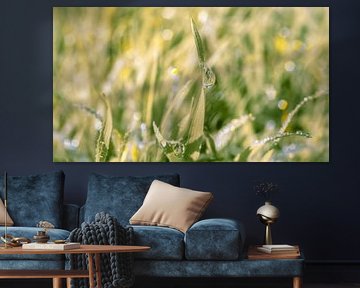 Dew by Alida van Luijn-Toet