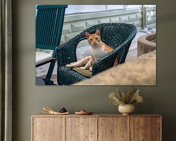 Stiller Beobachter im Garten von Karsten Rahn