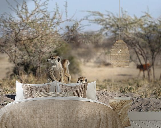 Aperçu de la chambre