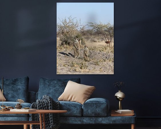 Aperçu de la chambre