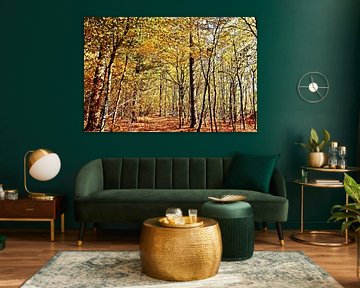 hêtres d'automne dans une forêt