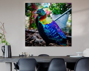 Himalayan Monal Bird by Iris Boersma