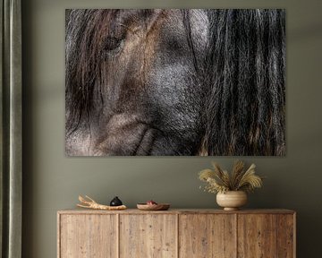 Indringende close-up van een glanzend paard