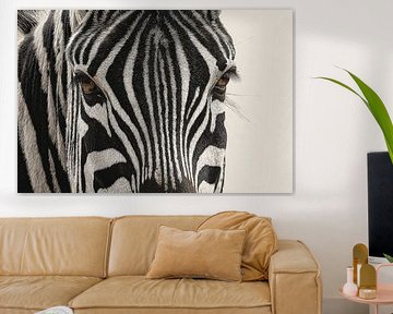 Zebra Symmetry in Stripe and Silence by Eva Lee