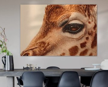 Giraffe Soft Gaze in Warm Detail Portrait by Eva Lee