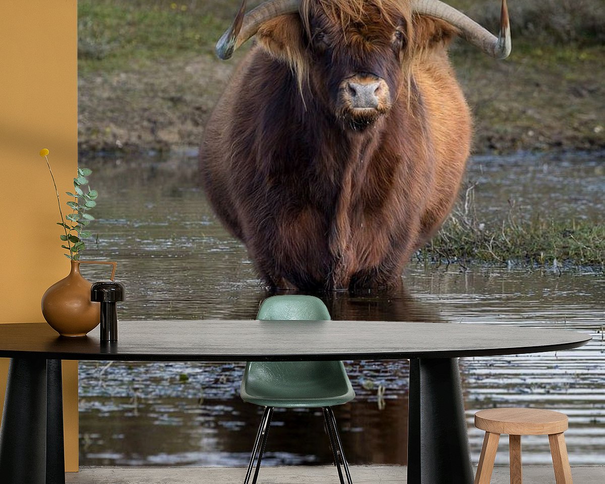 Raumvorschau