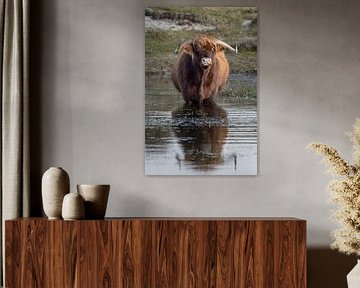 Een Schtose Hooglander staand in een poel. van Menno Schaefer