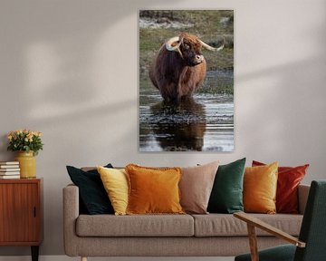 Een Schtose Hooglander in het water. van Menno Schaefer