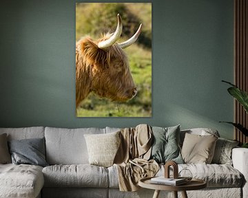 Portrait d'un Highlander schtose sur Menno Schaefer