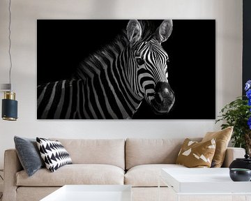 Zebra portret hoog contrast panorama van TheXclusive Art