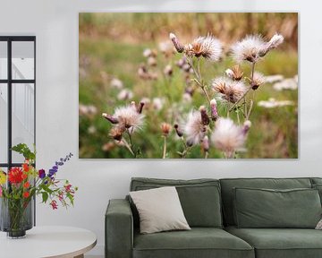 Mariendistel im Spätsommer von Whispering Fields Hageland