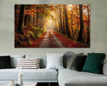 Pad door het herfstbos