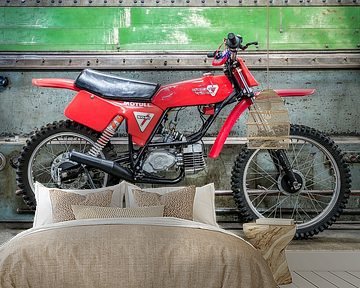 Kreidler van Veen Cross GS 50