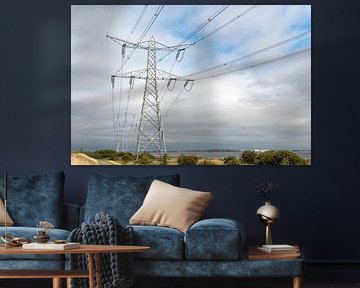 High-voltage pylons Markiezaatsmeer by Richard Wareham