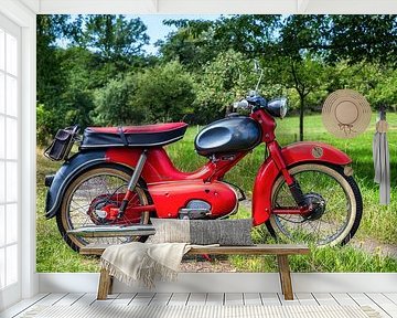 Kreidler Florett Eiertank (rot)