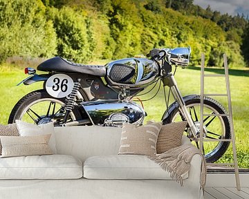 Kreidler Florett (Umbau)