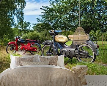 Kreidler Florett Eiertank x 2