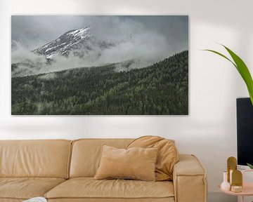 Landschap in de Alpen