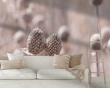 Allium / Lieb mich von Violetta Honkisz